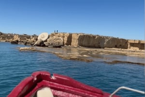 Private boat tour of the island of Ortigia with aperitif