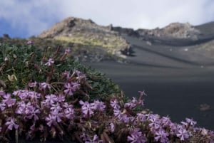 Mount Etna: Morning or Sunset Tour to a Lava Flow Cave