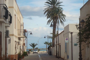 Частный собор и монастырь Монреале, экскурсия по керамической лаборатории