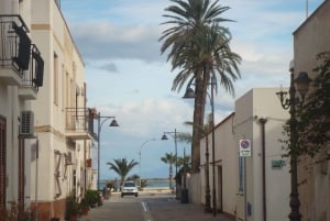 Частный собор и монастырь Монреале, экскурсия по керамической лаборатории