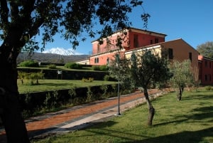 Catania, Taormina, Messina: 3 Etna Wineries Tour & Tasting