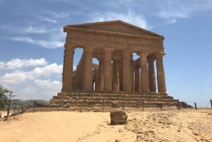 ヴィラ ロマーナ デル カサーレと神殿の谷のプライベート ツアー