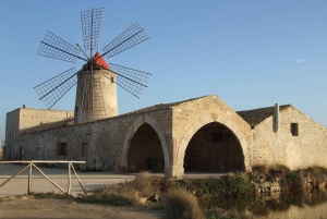 Private Tour: Segesta, Salinen & Erice