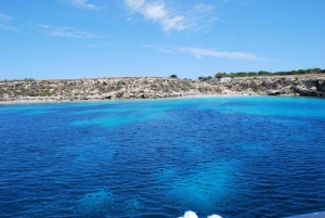 Private Transfer: From Palermo Airport to Favignana + ticket