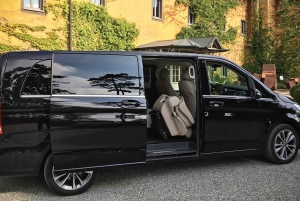 From Catania Airport: 1-Way Private Transfer to Catania