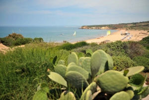 Private Transfer/Tour from SIRACUSA to PALERMO or viceversa