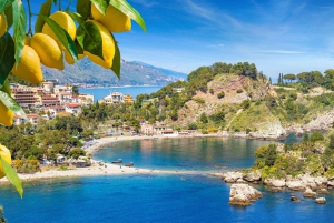 Privat transfer/tur från TAORMINA till PALERMO eller vice versa