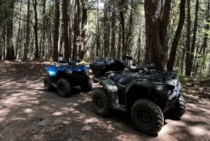Alcantara: Valley and Gurne dell'Alcantara ATV Adventure