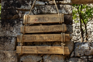 Radici: IImmerse yourself in the heady scents of our garden