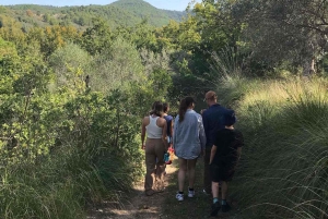 Madlavningskursus og måltid på landet i Ragusa