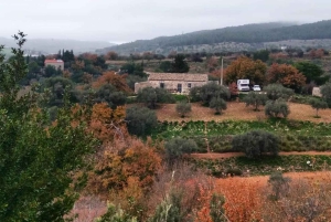 Madlavningskursus og måltid på landet i Ragusa