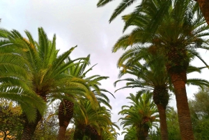 Privétour door Ragusa Ibla: de parel van Zuidoost-Sicilië