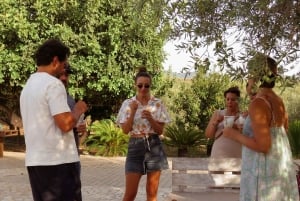 Ragusa: Siciliansk madlavningsworkshop på landet