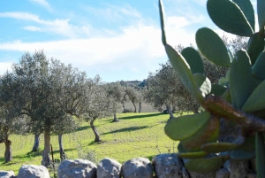 Ragusa: Traditional Sicilian Cooking Class