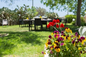 Ragusa: Traditional Sicilian Cooking Class