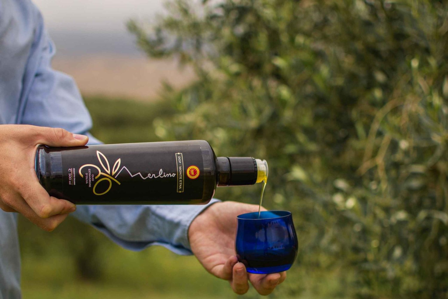 Randazzo: Cata de aceite de oliva virgen extra y visita al olivar