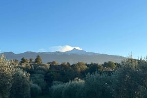 Randazzo: Proeverij van extra vierge olijfolie en rondleiding door de olijfboomgaard