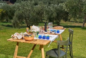 Randazzo: Picnic in oliveto ai piedi dell'Etna e degustazione di olio