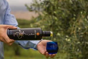 Randazzo: Sicilian cooking class in an olive grove and oil tasting