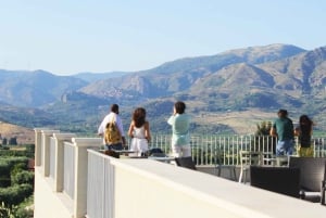 Randazzo: Sicilian cooking class in an olive grove and oil tasting