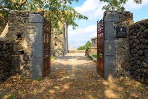 Randazzo: Wine Discovery Tour on North Side of Mount Etna