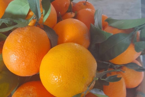Realmonte: Sicilian cooking class & lunch