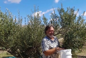 Realmonte: Sicilian cooking class & lunch