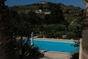 Realmonte: Sicilian cooking class & lunch