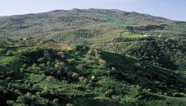 Riserva Naturale Bosco della Favara e Bosco Granza