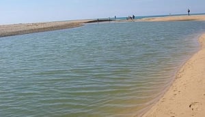 Riserva Naturale Foce del Fiume Platani