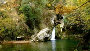 Riserva Naturale Orientata Bosco di Malabotta