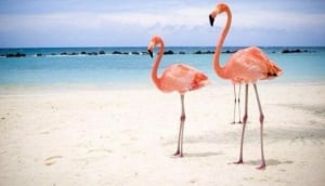 Riserva Naturale Orientata di Vendicari