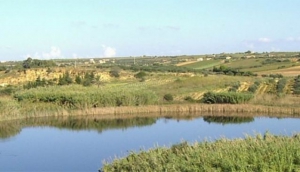 Riserve Naturali di Preola e Gorghi Tondi
