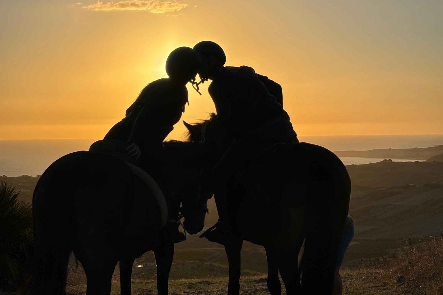 Romantisk opplevelse med hester i naturreservatet WWF