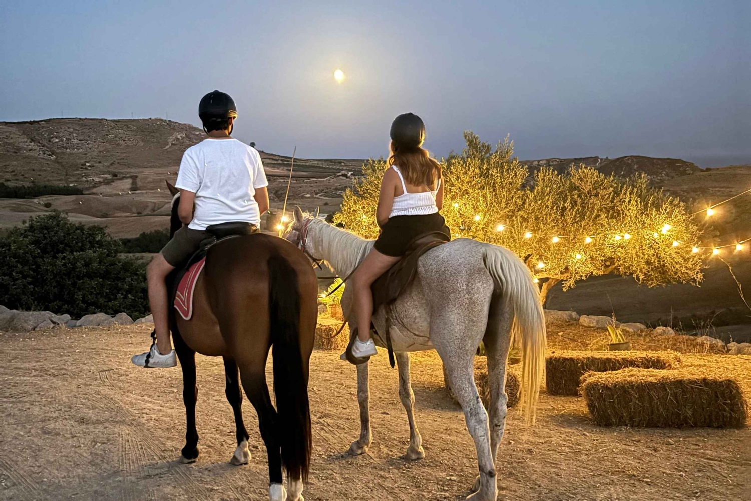 Romantisk opplevelse med hester i naturreservatet WWF