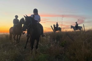 Romantic Experience with horses in the Natural Reserve WWF