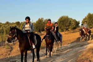 Romantic Experience with horses in the Natural Reserve WWF