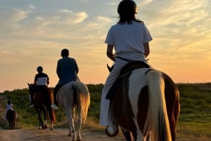 Romantic Experience with horses in the Natural Reserve WWF