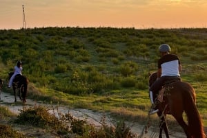 Romantic Experience with horses in the Natural Reserve WWF