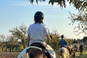 Romantic Experience with horses in the Natural Reserve WWF