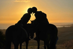 Romantisk opplevelse med hester i naturreservatet WWF