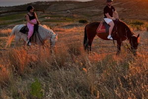 Romantisk opplevelse med hester i naturreservatet WWF