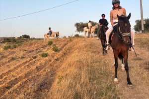 Romantisk opplevelse med hester i naturreservatet WWF