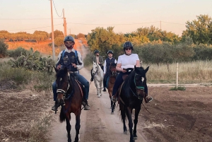 Romantisk opplevelse med hester i naturreservatet WWF