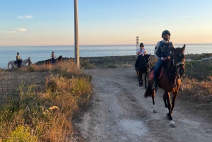 Romantisk opplevelse med hester i naturreservatet WWF