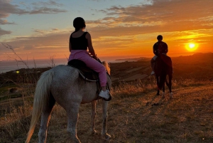 Romantisk opplevelse med hester i naturreservatet WWF