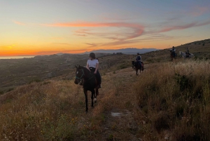 Romantisk opplevelse med hester i naturreservatet WWF