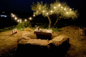 Romantisk opplevelse med hester i naturreservatet WWF