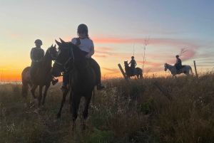 Romantisk opplevelse med hester i naturreservatet WWF