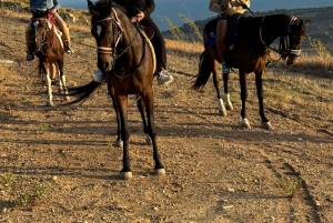 Romantisk opplevelse med hester i naturreservatet WWF